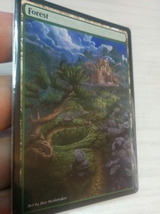 Forest #21